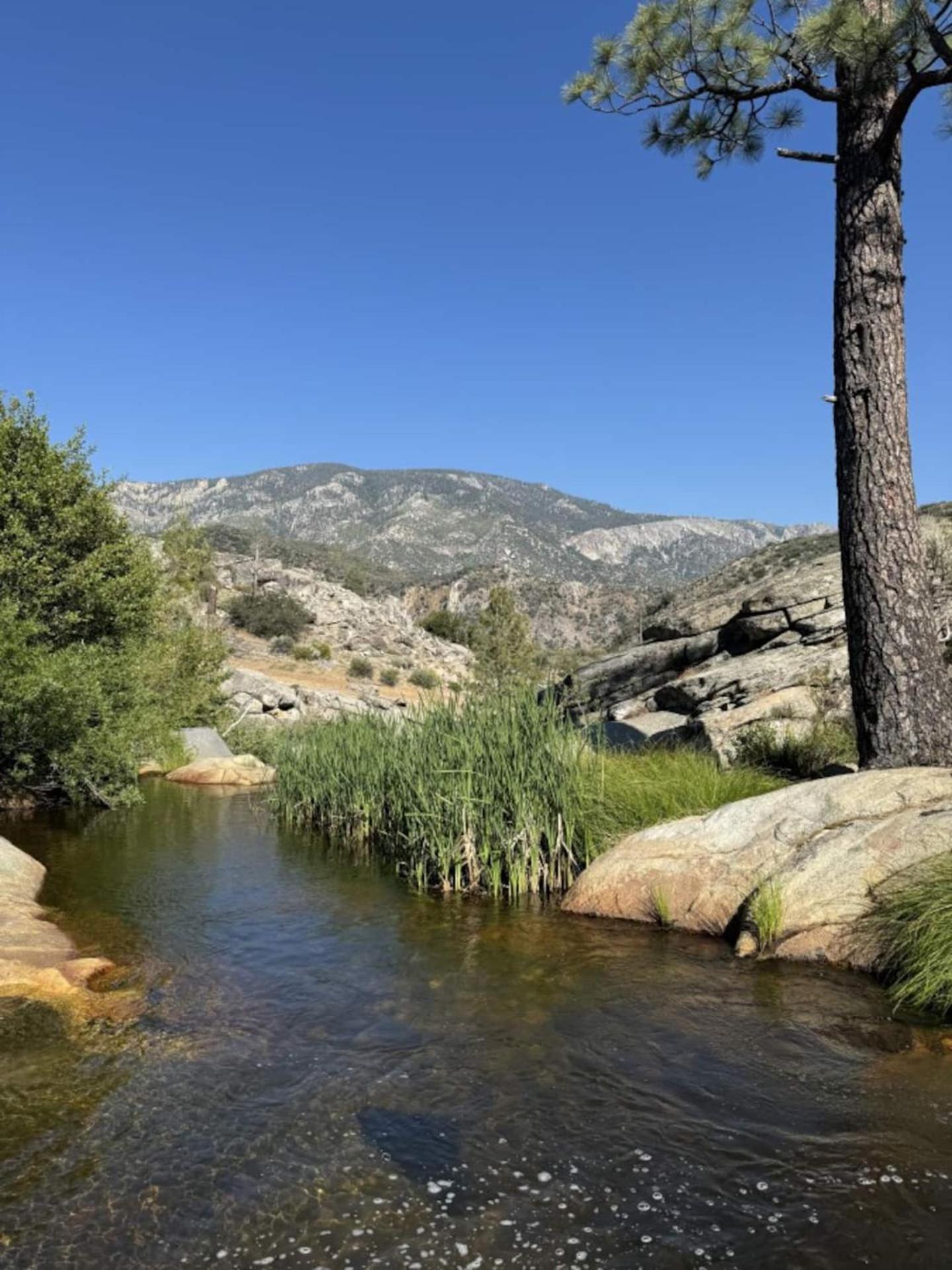 Peppermint Falls Ranch Ponderosa Bagian luar foto