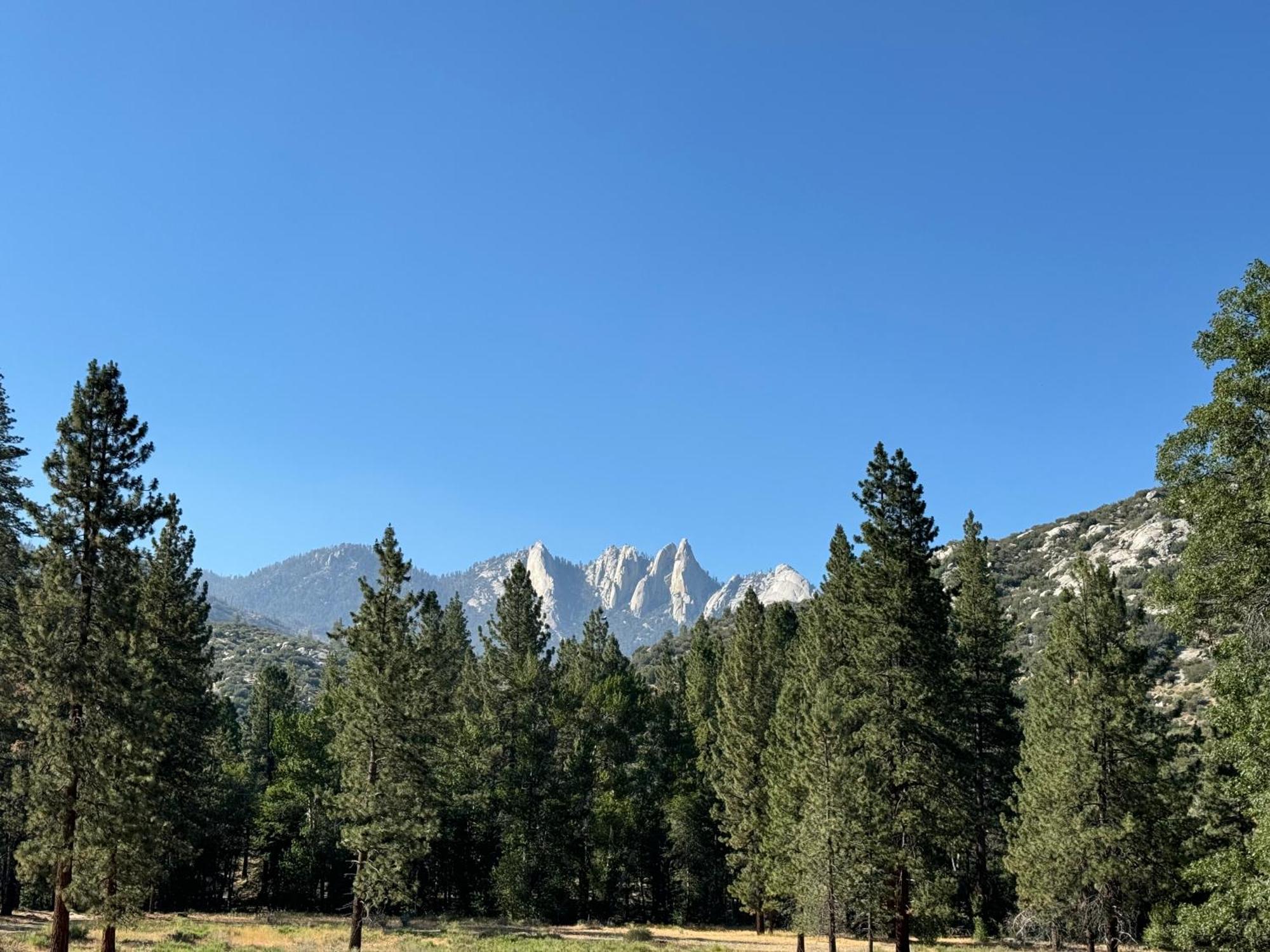 Peppermint Falls Ranch Ponderosa Bagian luar foto