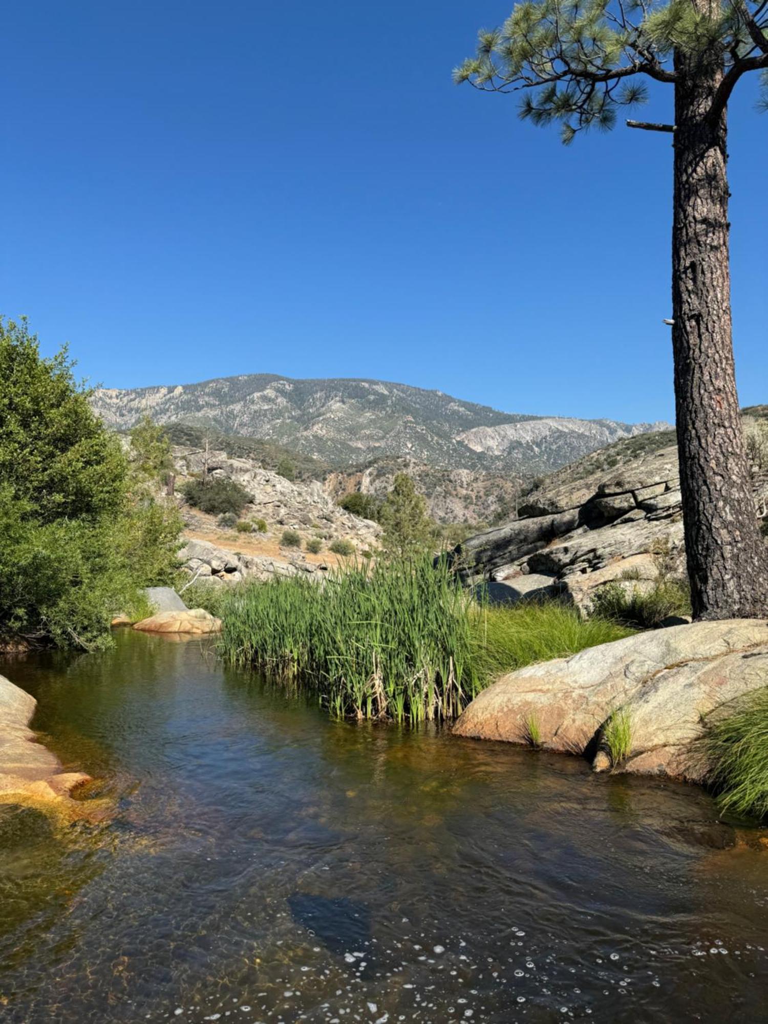 Peppermint Falls Ranch Ponderosa Bagian luar foto