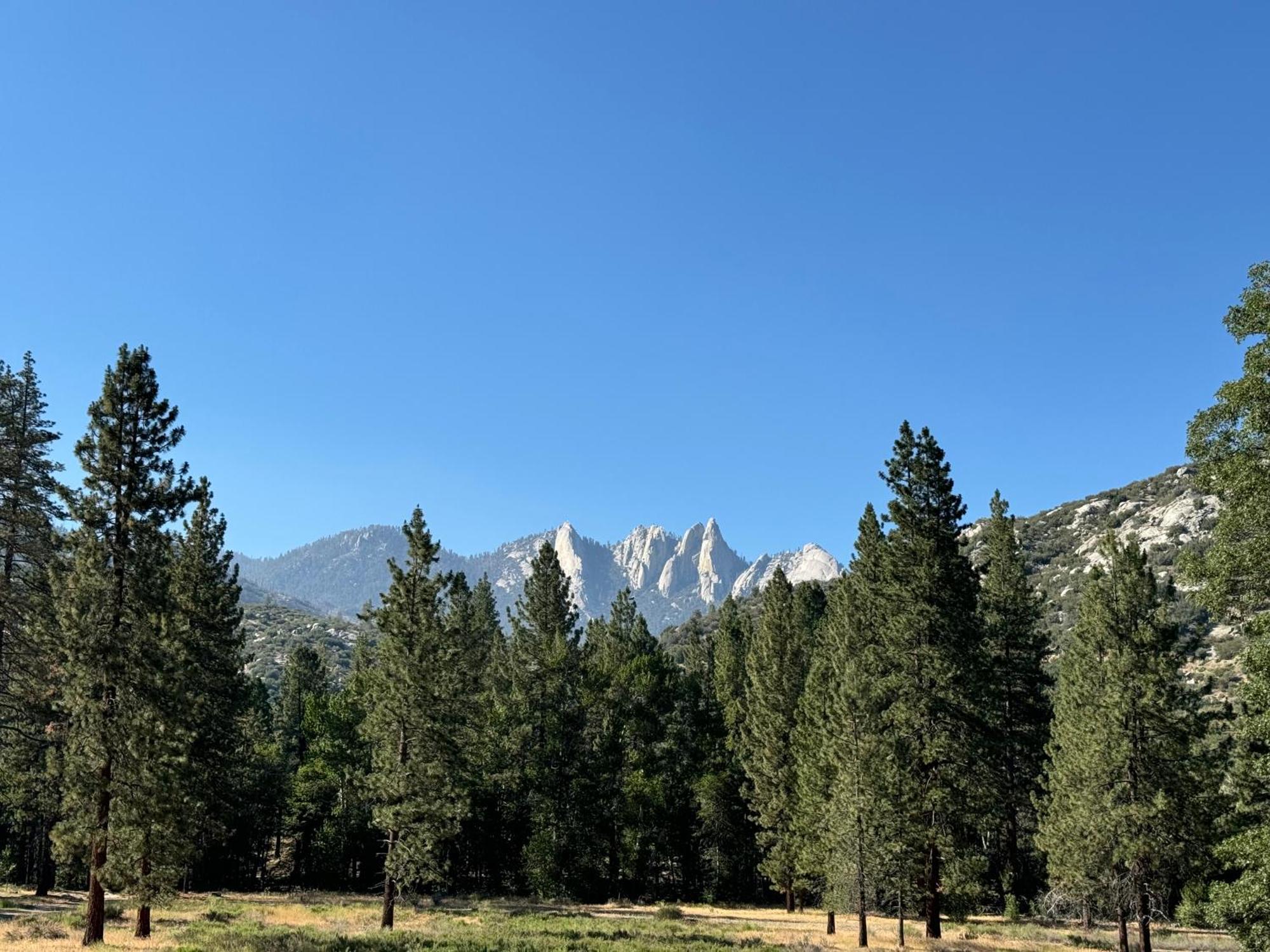 Peppermint Falls Ranch Ponderosa Bagian luar foto