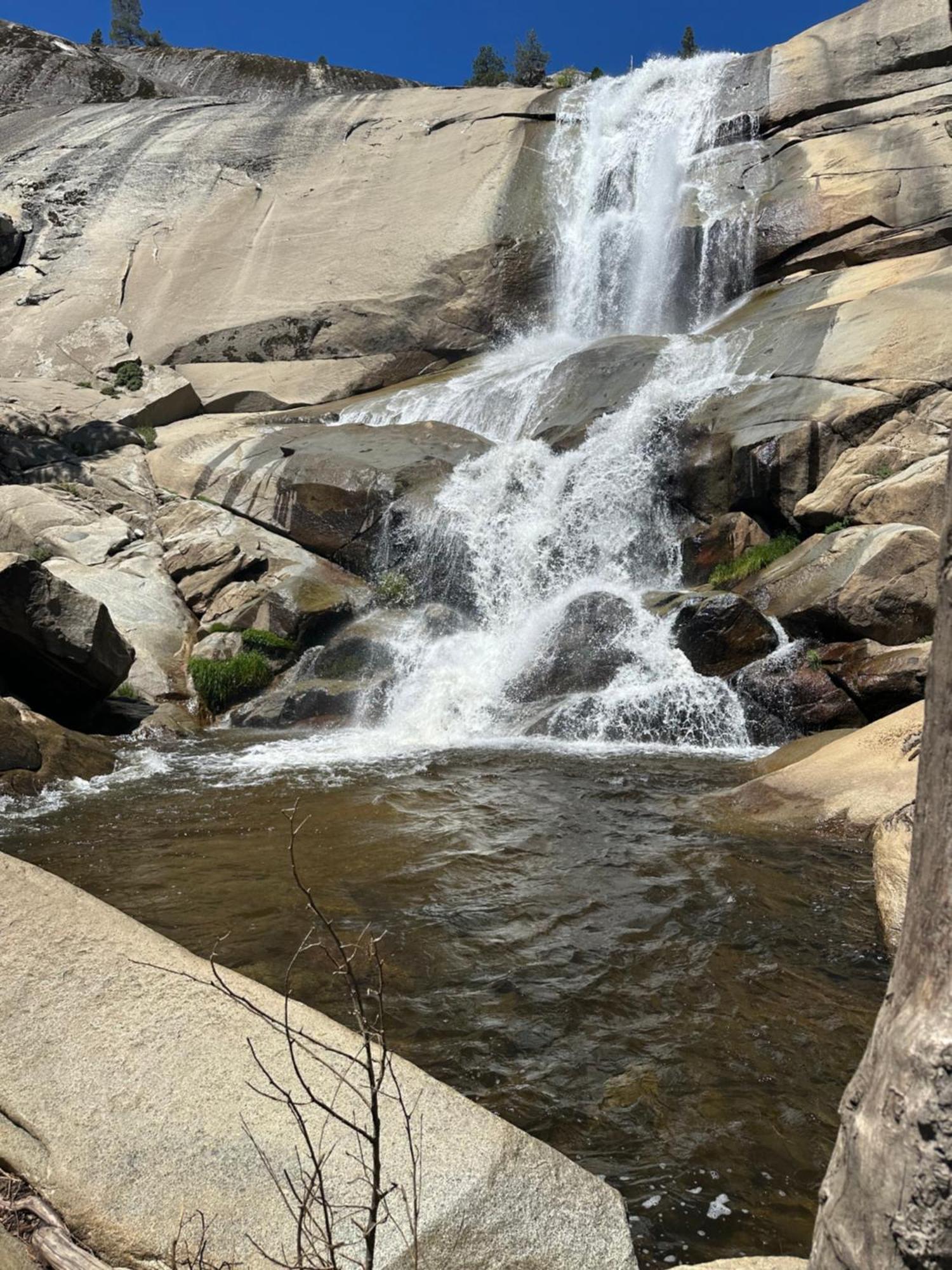 Peppermint Falls Ranch Ponderosa Bagian luar foto